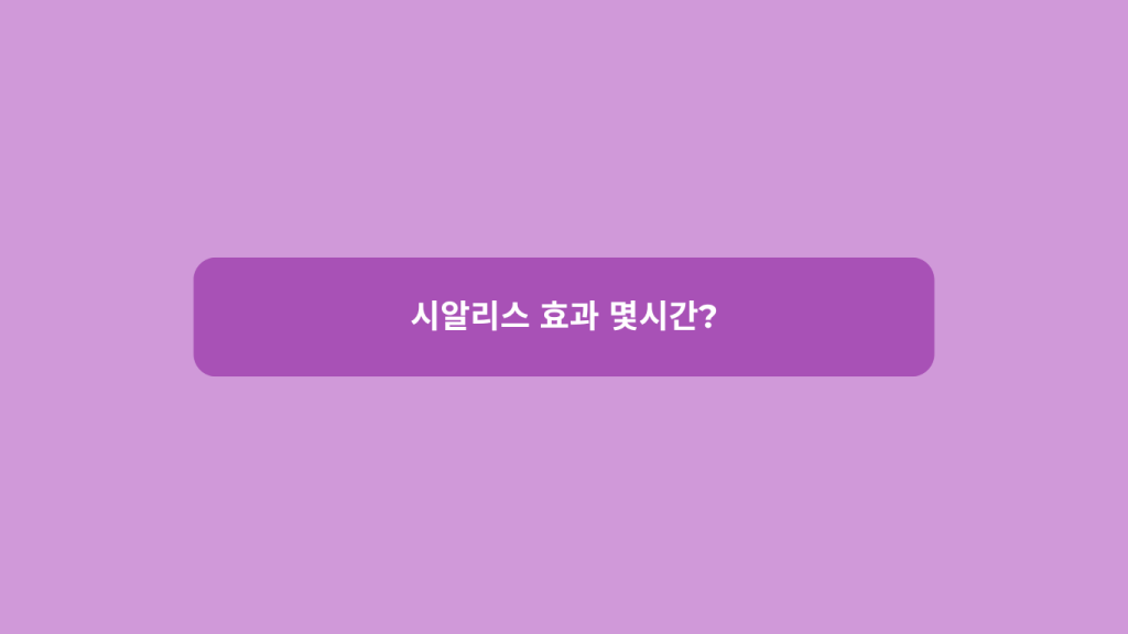 시알리스 효과 몇 시간